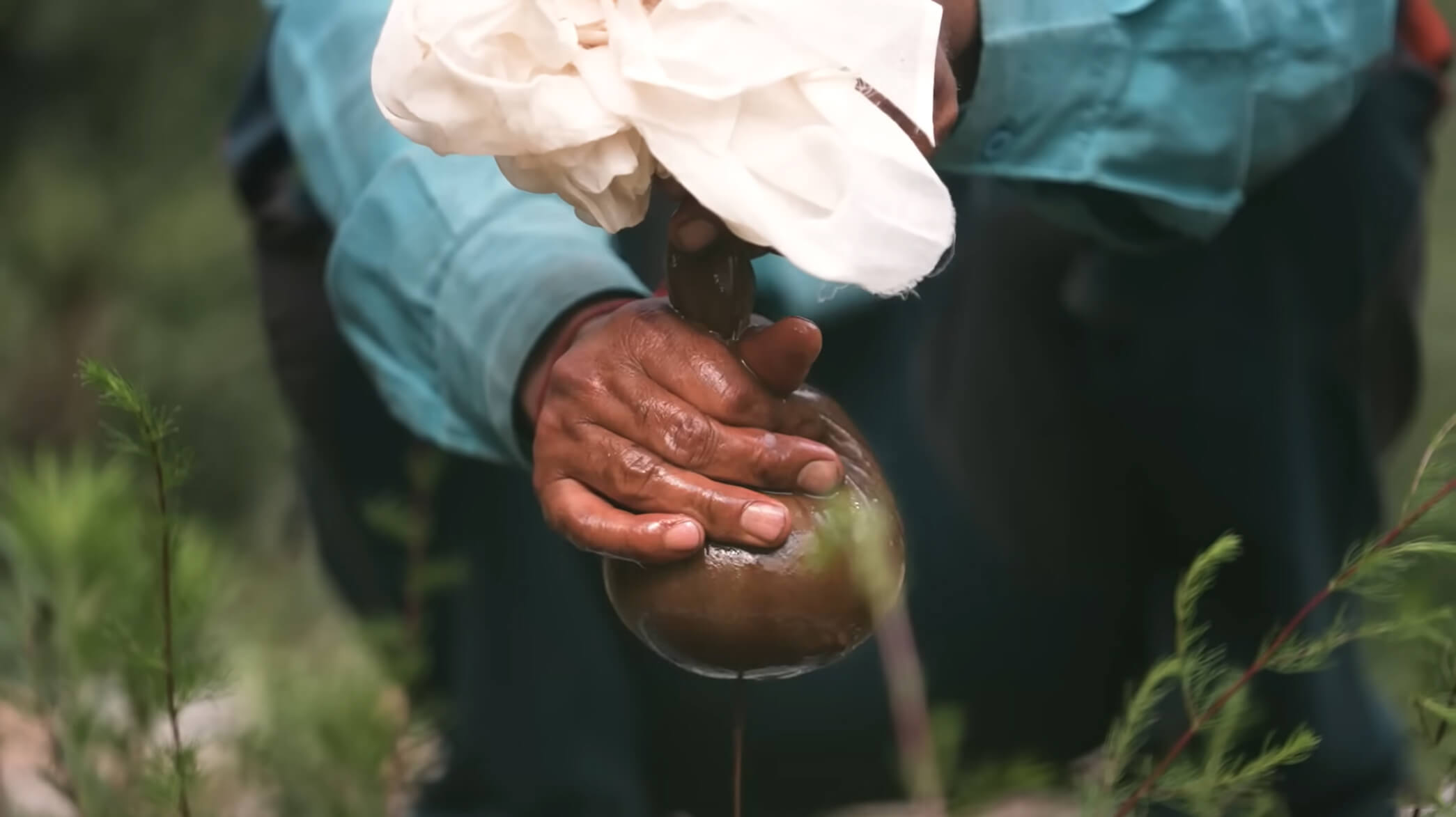 Filtering shilajit from impurities